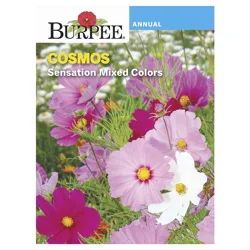 Burpee Cosmos Sensation Mix Seeds
