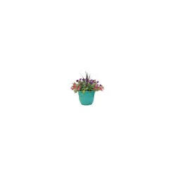 16 Inch Prem Combo Planter