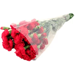 Mini Carnations - 10 Stem