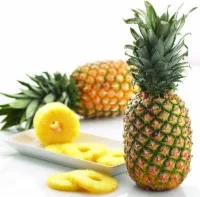 Dole Tropical Gold Pineapple
