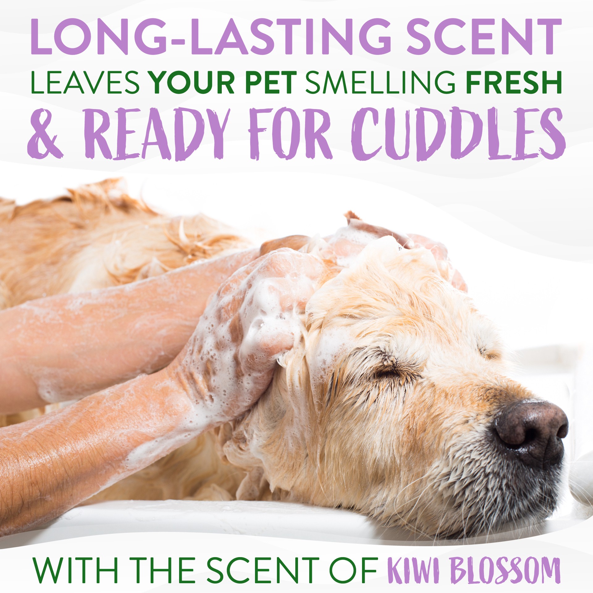 slide 10 of 10, TropiClean Kiwi & Cocoa Butter Moisturizing Conditioner for Pets, 20oz, 20 oz