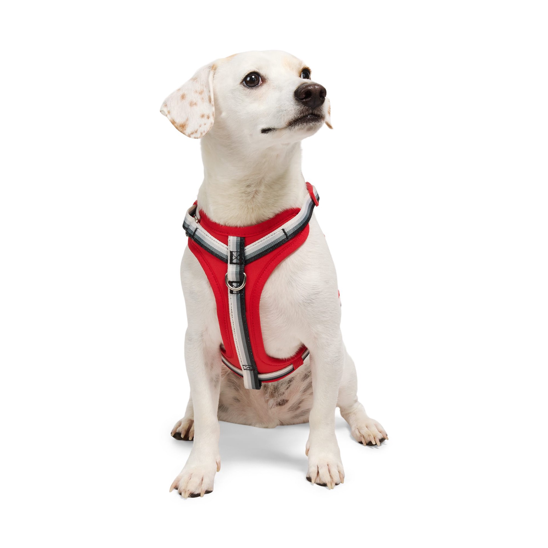 slide 1 of 1, YOULY Comfort Neoprene Dog Harness, Red, Small, SM