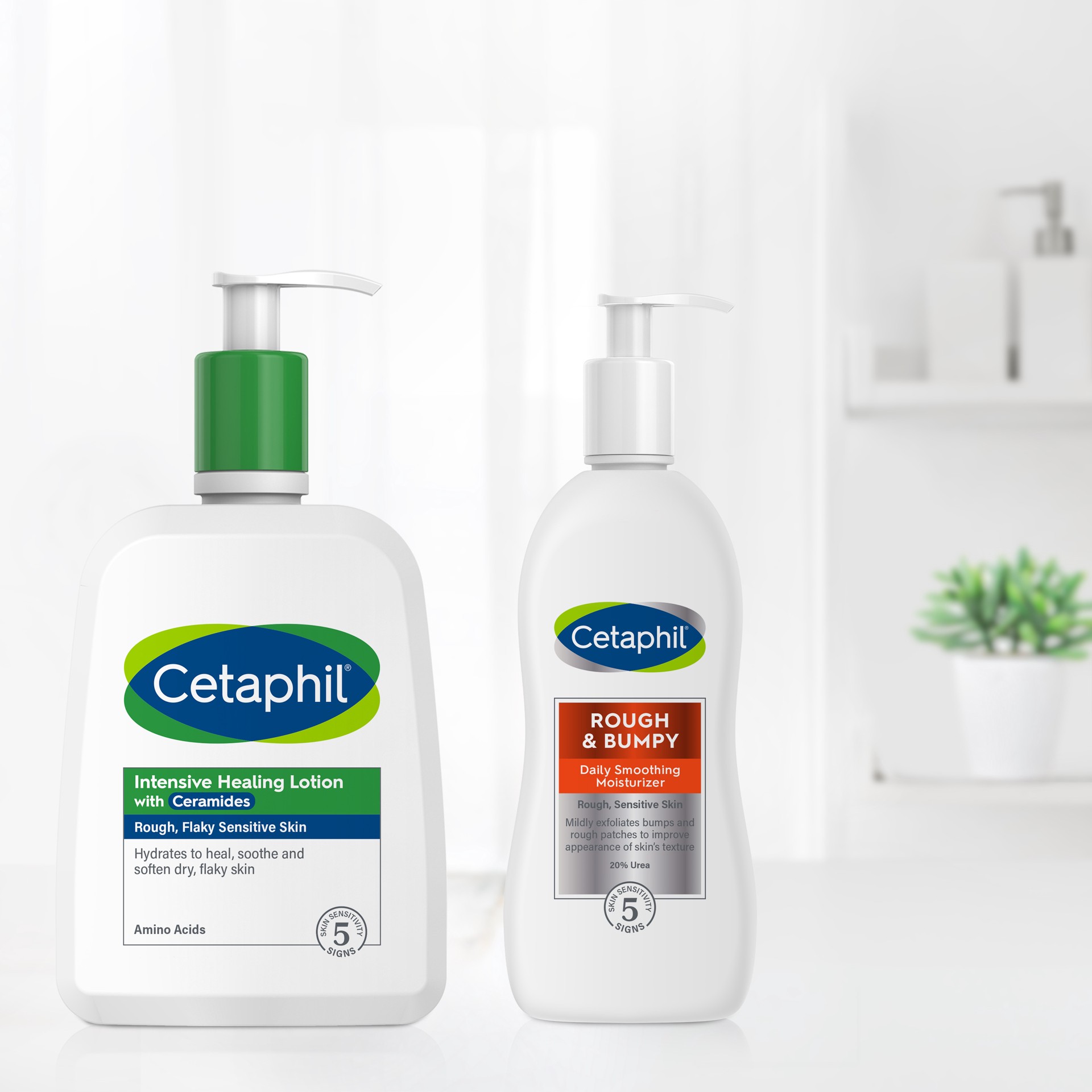 slide 6 of 10, Cetaphil Rough & Bumpy Daily Moisturizer, 10 oz, 10 fl oz