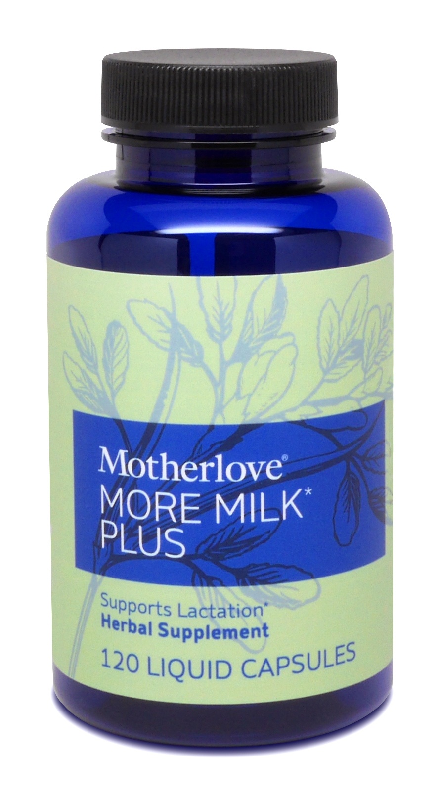 slide 1 of 1, Motherlove More Milk Plus, 120 ct