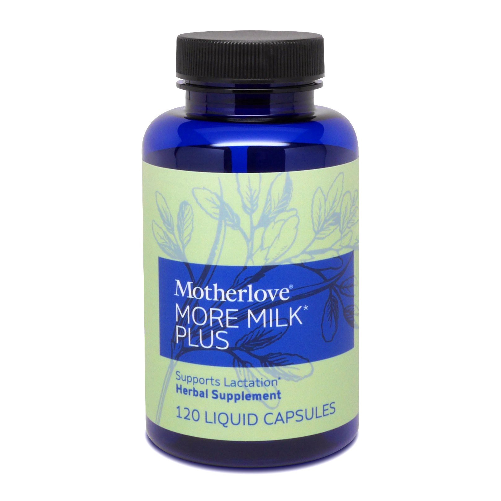 slide 1 of 1, Motherlove More Milk Plus, 120 ct