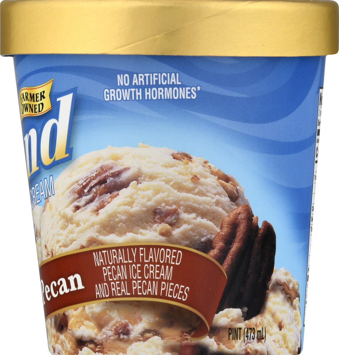 slide 11 of 13, Hiland Dairy Premium Butter Pecan Ice Cream 1 pt, 1 pint