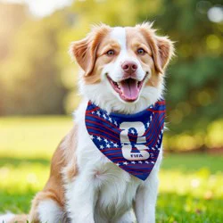 Fifa Usa Pawswag Bandana M