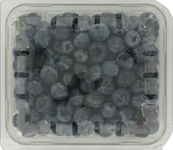 Granola Kingdom Fresh Blueberries Pint