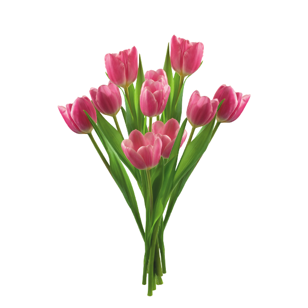 slide 1 of 1, Floral Tulips, 1 ct