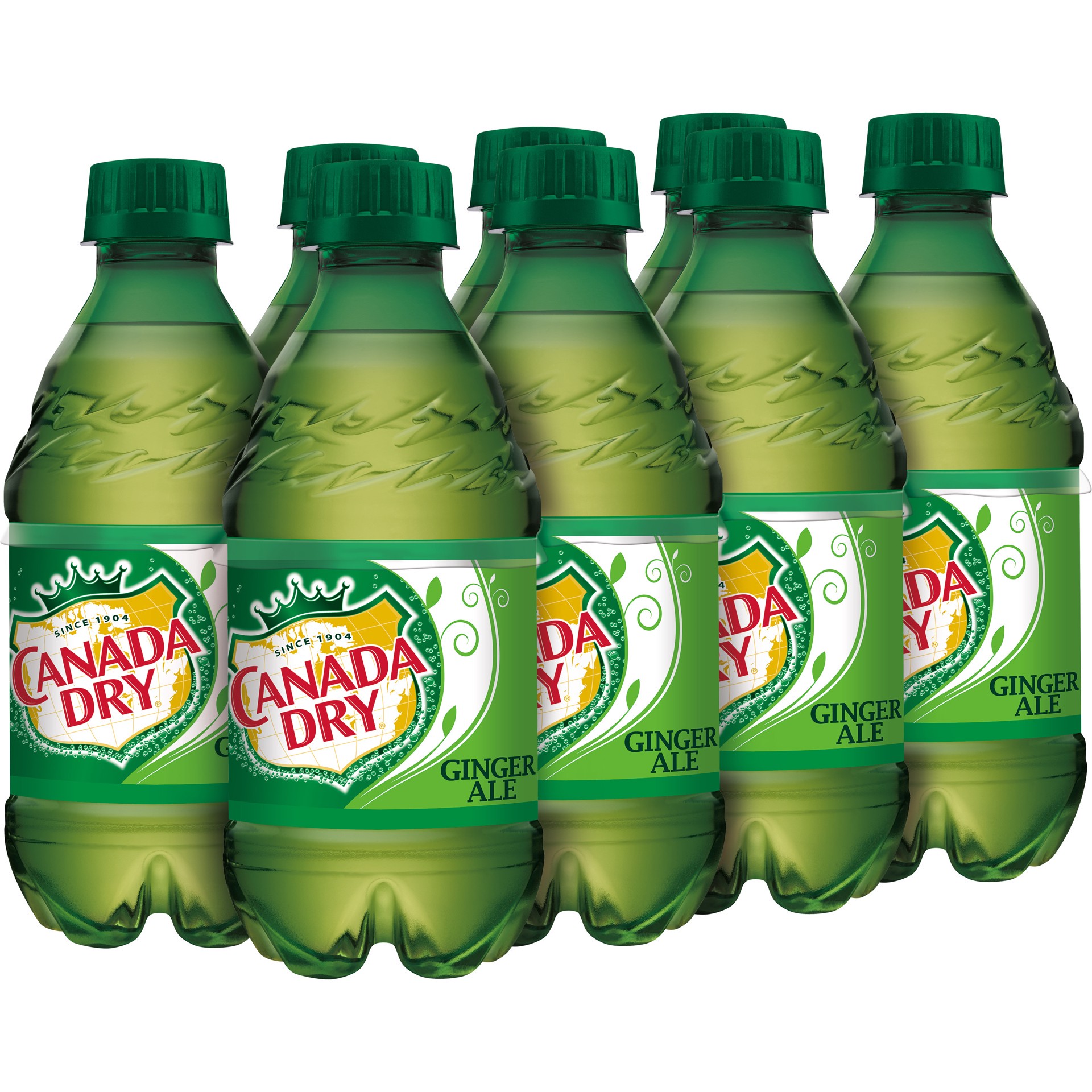 slide 5 of 5, Canada Dry Ginger Ale Soda, 12 fl oz bottles, 8 pack, 8 ct