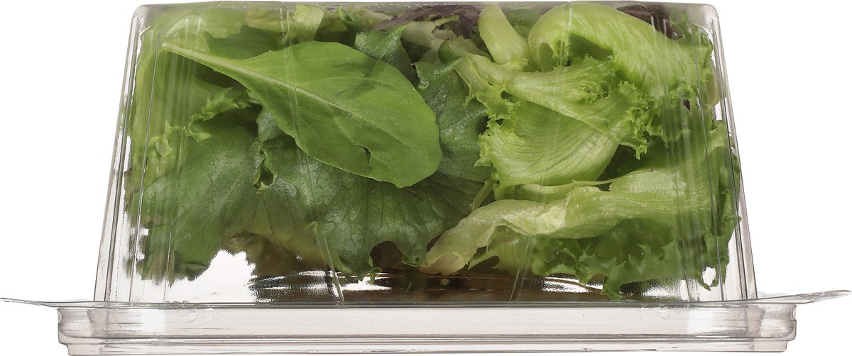 slide 4 of 10, Little Leaf Farms Baby Spring Mix Lettuce 4 oz, 4 oz