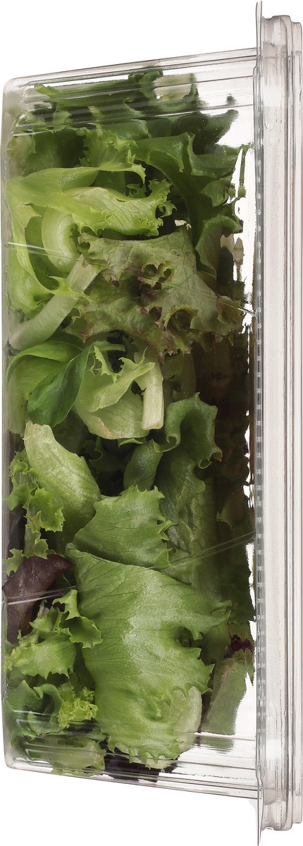 slide 3 of 10, Little Leaf Farms Baby Spring Mix Lettuce 4 oz, 4 oz