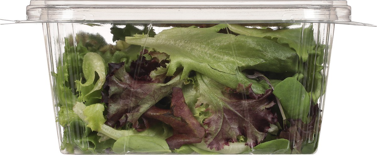 slide 10 of 10, Little Leaf Farms Baby Spring Mix Lettuce 4 oz, 4 oz