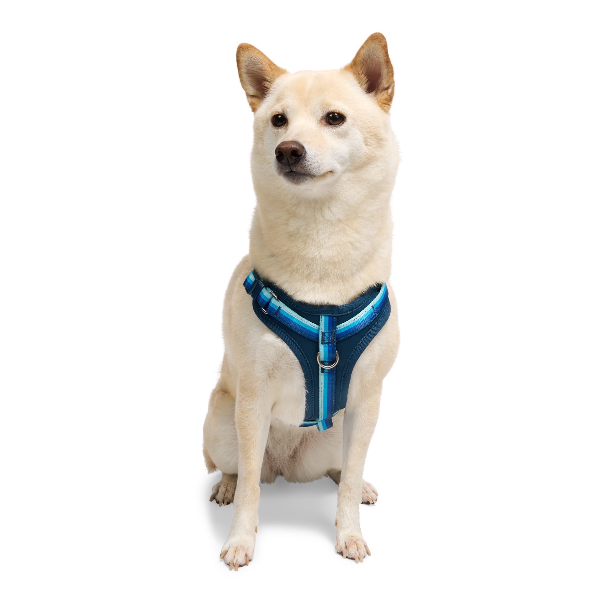 slide 1 of 1, YOULY Comfort Neoprene Dog Harness, Blue, X-Small, x-small