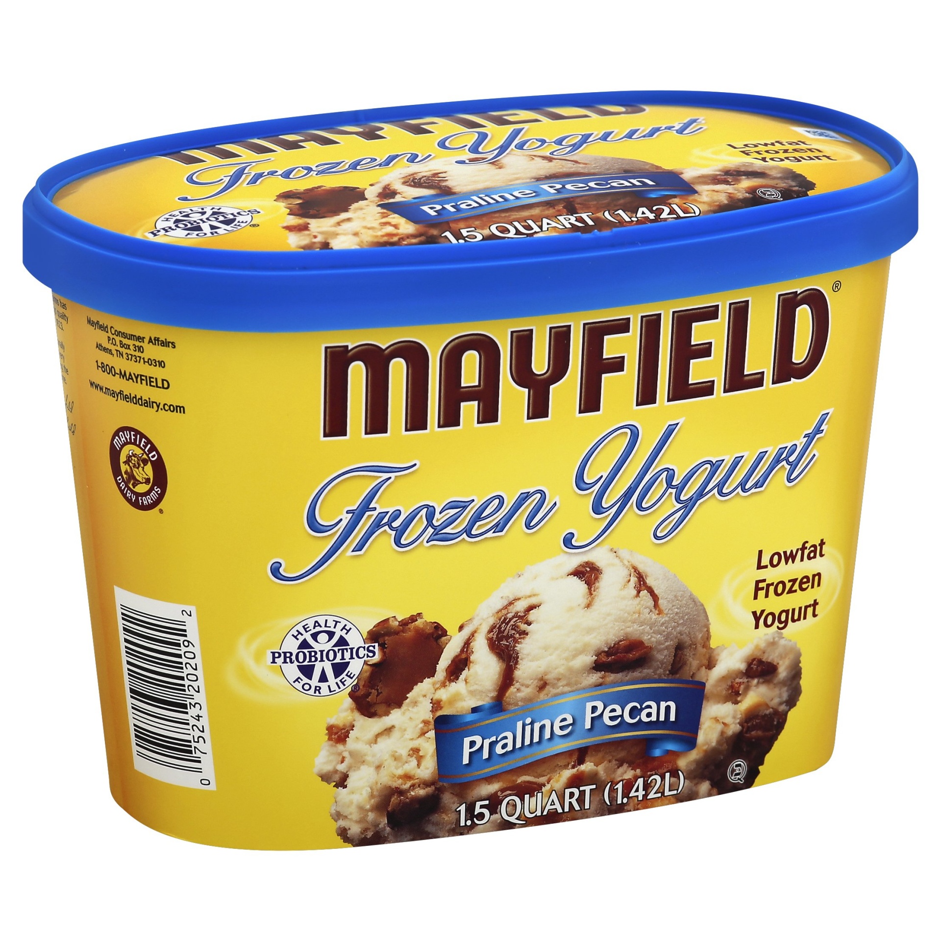 Mayfield Praline Pecan Frozen Yogurt 48 fl oz Shipt