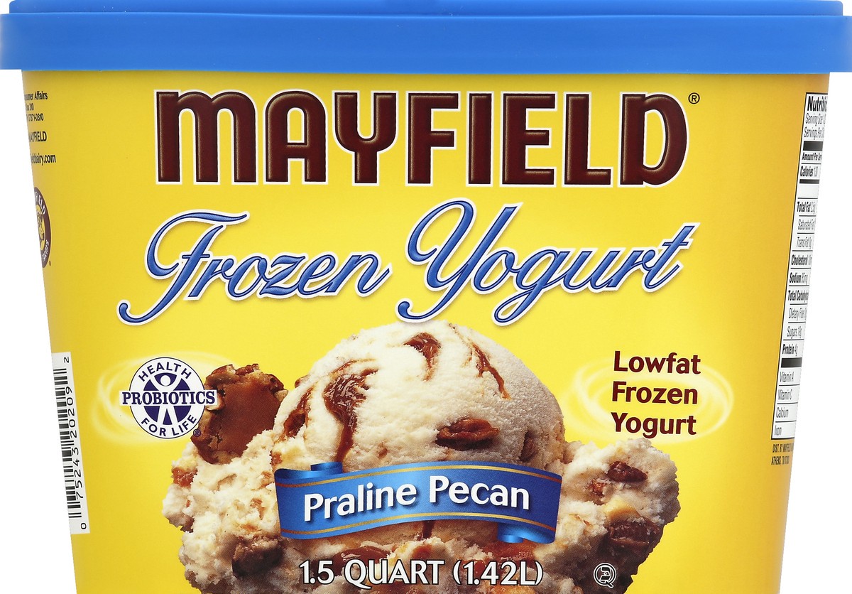 slide 3 of 4, Mayfield Creamery Praline Pecan Frozen Yogurt 1.5 qt, 1.5 qt