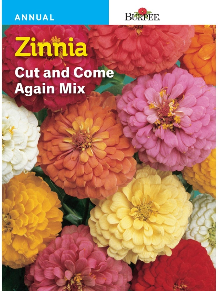 slide 1 of 1, Burpee Zinnia Cut And Come Again Seed Mix - Multi-Color, 1 ct