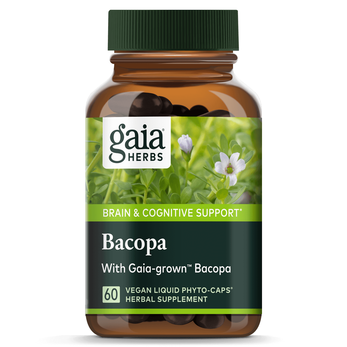 slide 1 of 1, Gaia Herbs Bacopa 60 ea, 60 ct