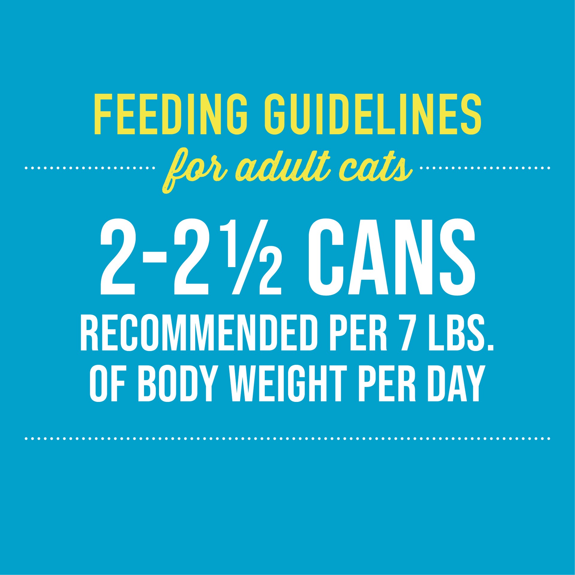 slide 7 of 7, Tiki Cat Silver Wet Cat Food for Seniors, Variety Pack, 2.4 oz. Can (12 Count), 28.8 oz