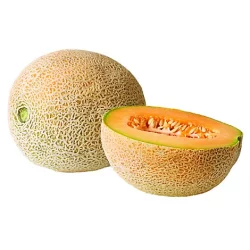 Athena Cantaloupe Melon