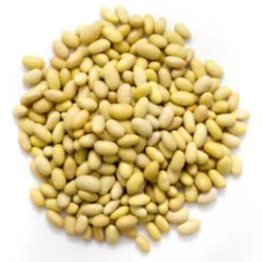 Frijol Peruano
