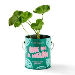 Modern Sprout Watermelon Seed Starter Kit