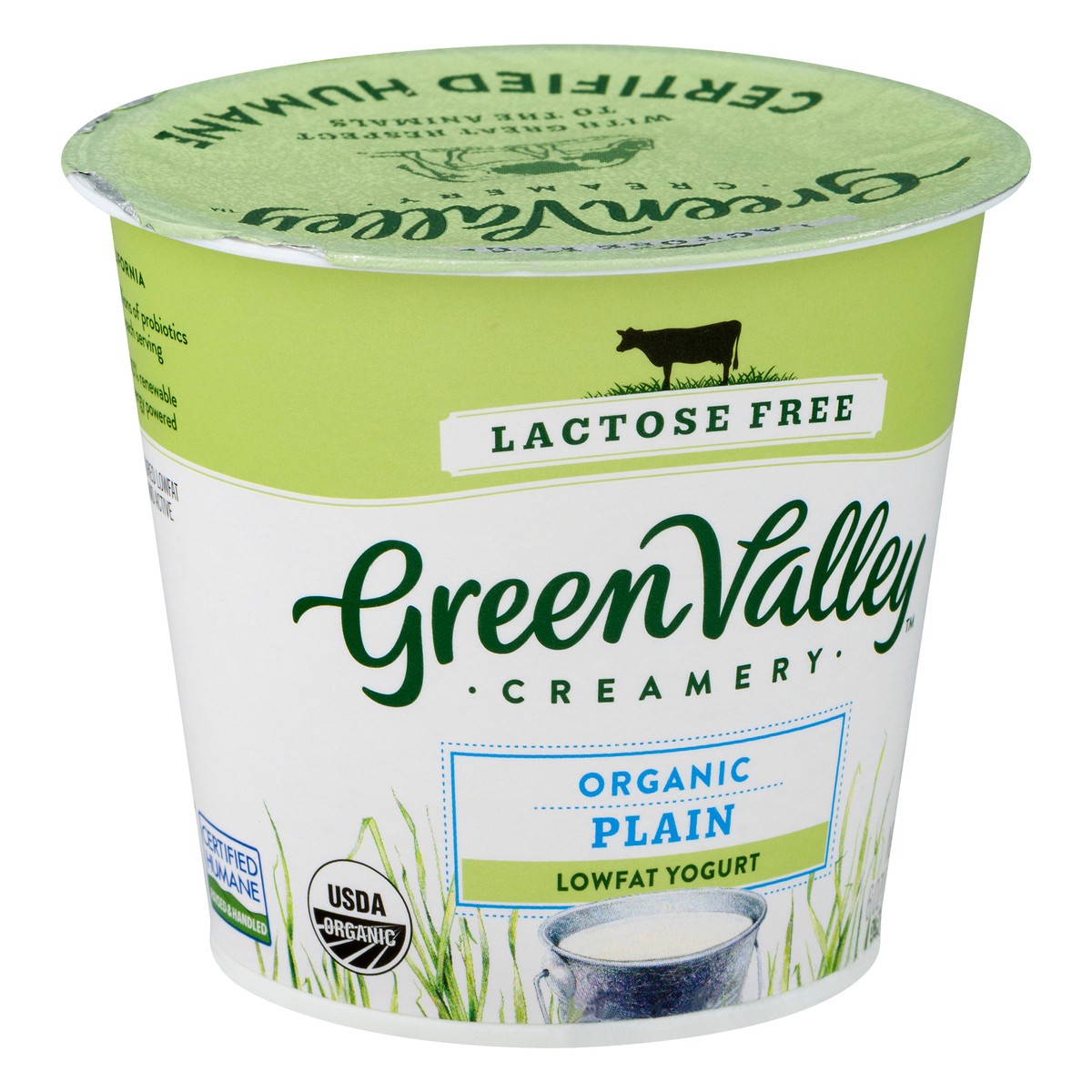 slide 7 of 10, Green Valley Organics Lactose Free Lowfat Organic Plain Yogurt 6 oz, 6 oz