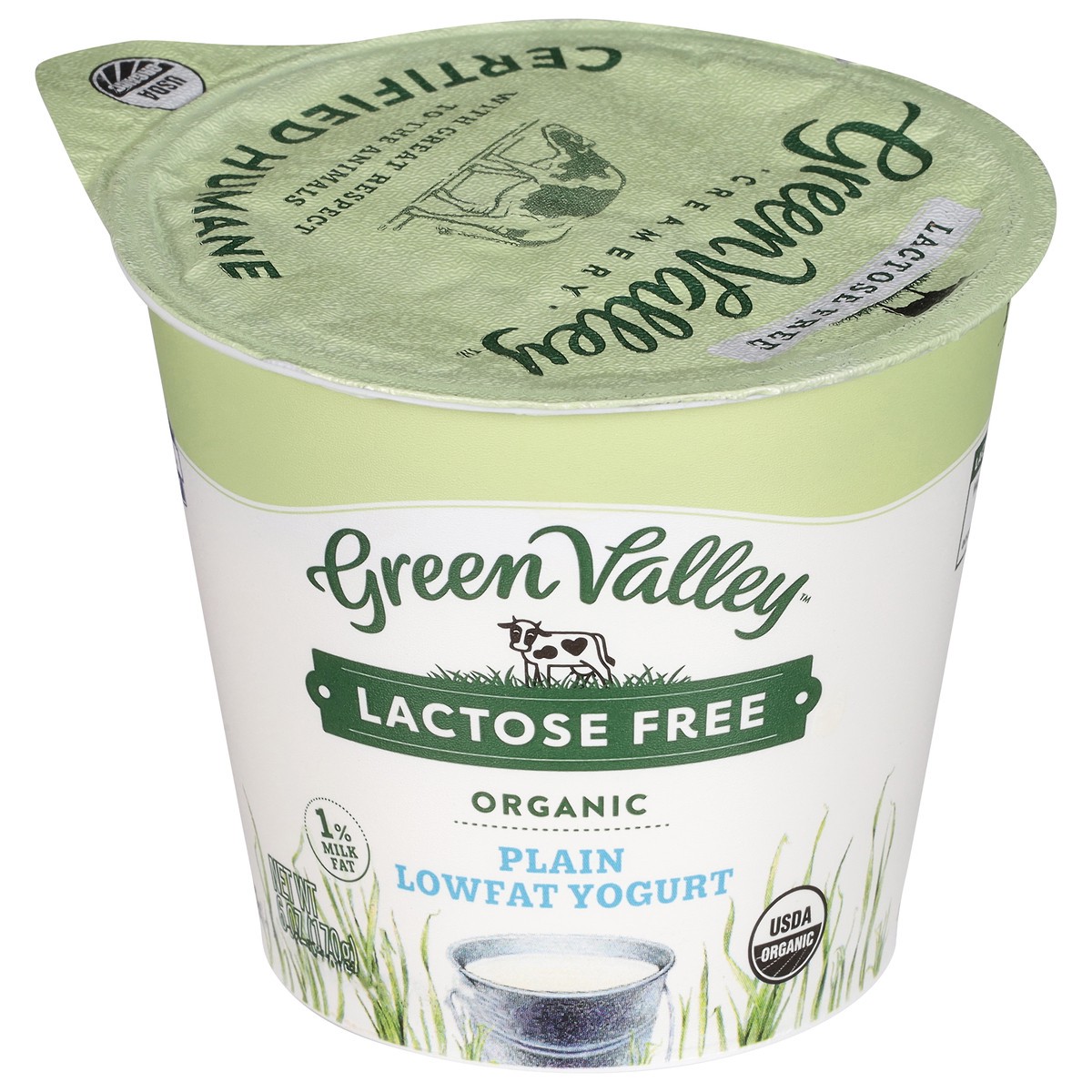 slide 1 of 10, Green Valley Organics Lactose Free Lowfat Organic Plain Yogurt 6 oz, 6 oz