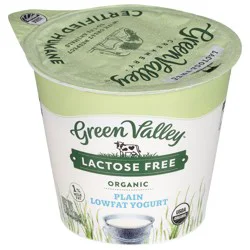 Green Valley Organics Lactose Free Lowfat Organic Plain Yogurt 6 oz