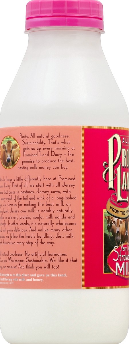 slide 2 of 4, Promised Land Dairy Very Berry Strawberry Whole Milk 32 fl oz, 32 fl oz