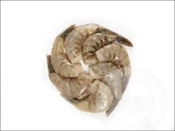 Shrimp-White White Shrimp Extra Jumbo 16/20