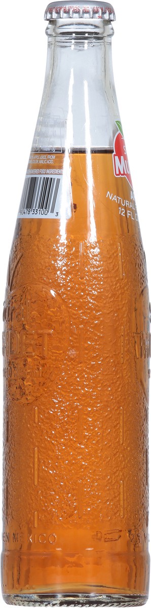 slide 4 of 9, Sidral Mundet Apple Soda 12 fl oz, 12 fl oz