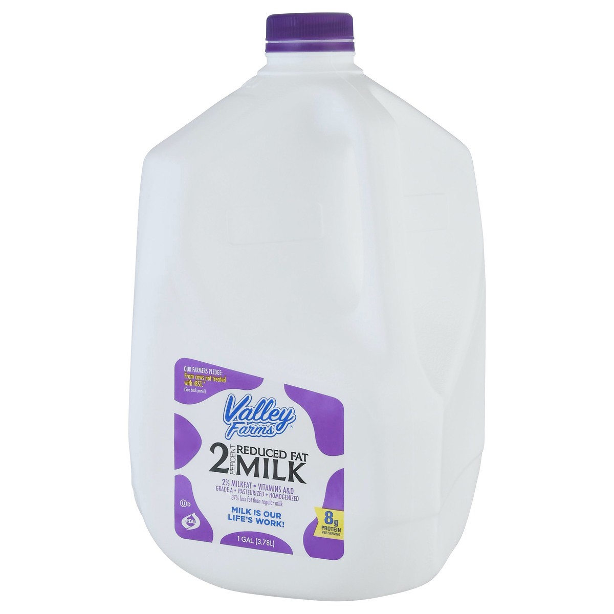 slide 7 of 9, Valley Farms 2% Milkfat Reduced Fat Milk - 1 gal, 1 gal