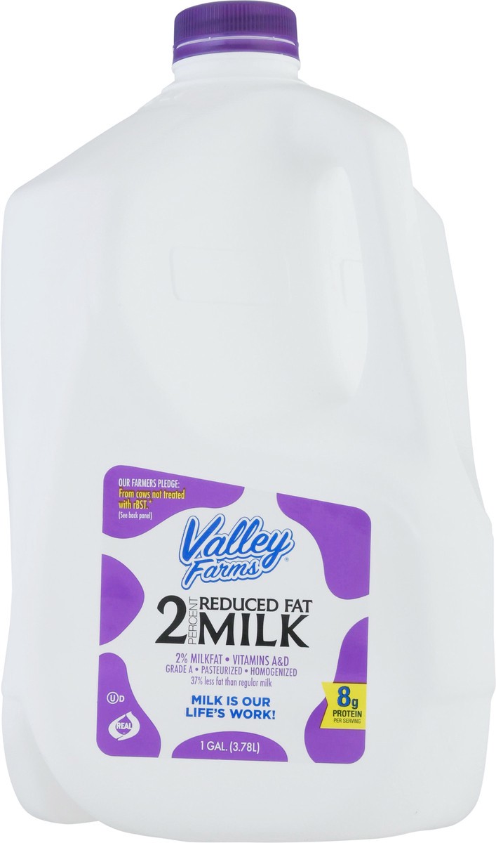 slide 1 of 9, Valley Farms 2% Milkfat Reduced Fat Milk - 1 gal, 1 gal