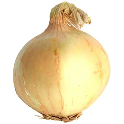 Onion Yellow