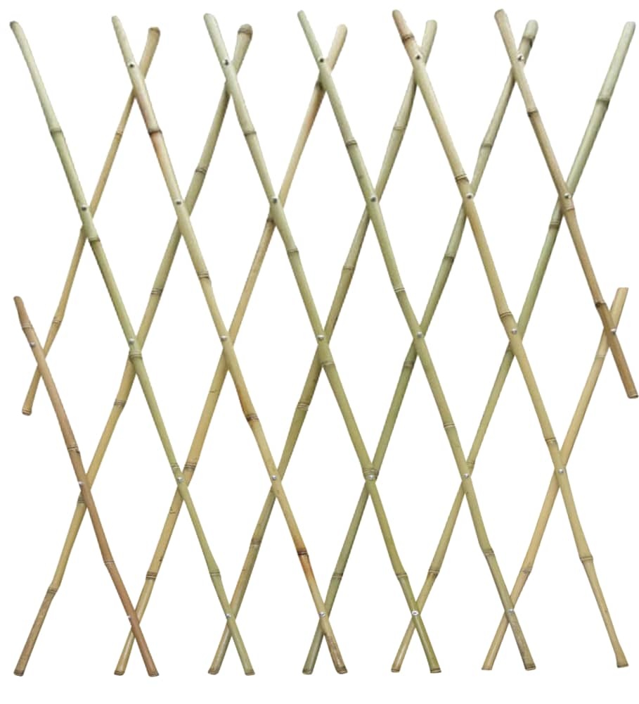 slide 1 of 1, Miracle-Gro Bamboo Fence Trellis, 4 in x 6 in