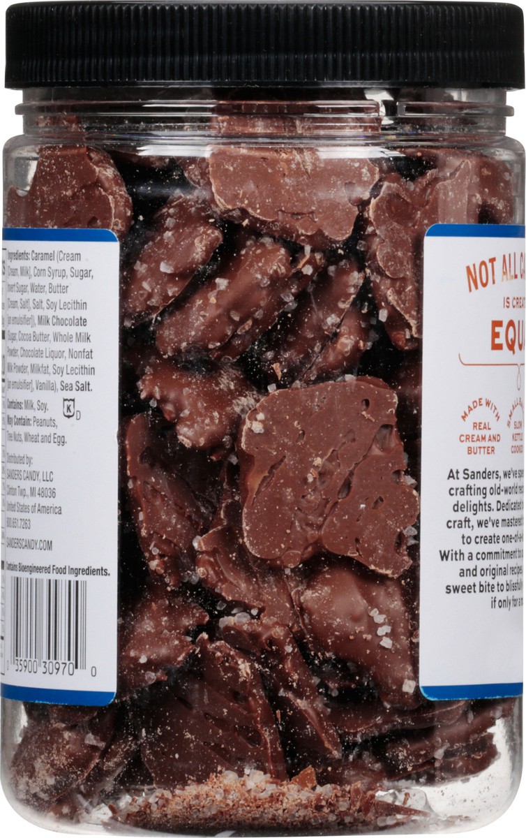 slide 4 of 12, Sanders Thins Milk Chocolate Sea Salt Caramels 18 oz, 18 oz