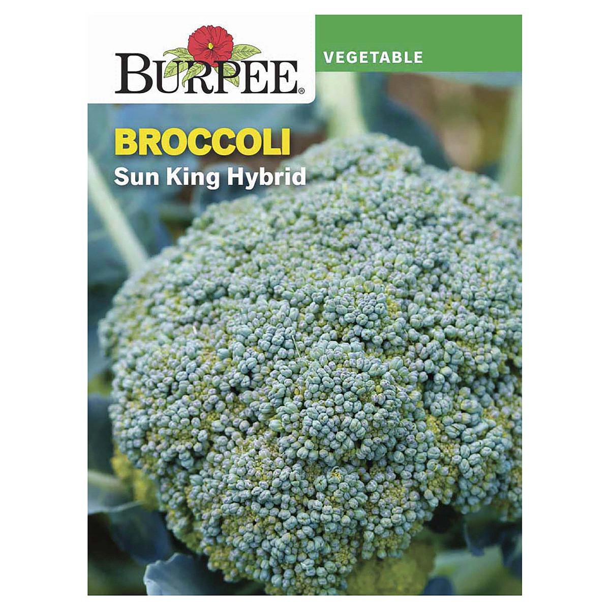 slide 1 of 5, Burpee Broccoli Sun King Hybrid Seeds, 1 ct