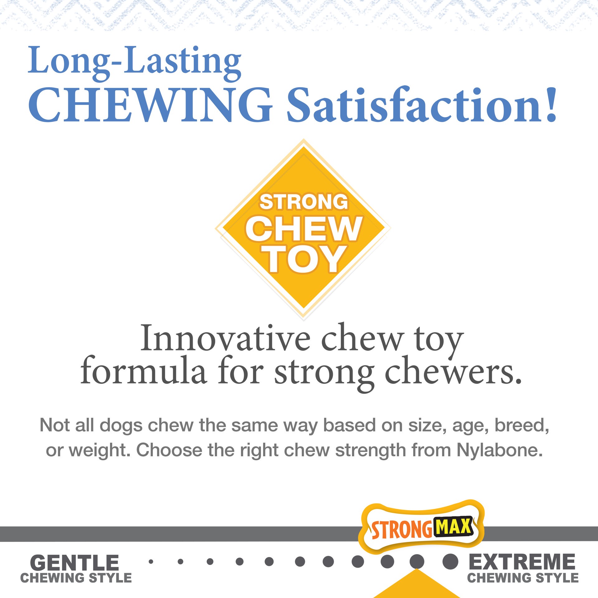 slide 6 of 10, Nylabone Puppy Gourmet Style Strong Chew Toy, 1 ct