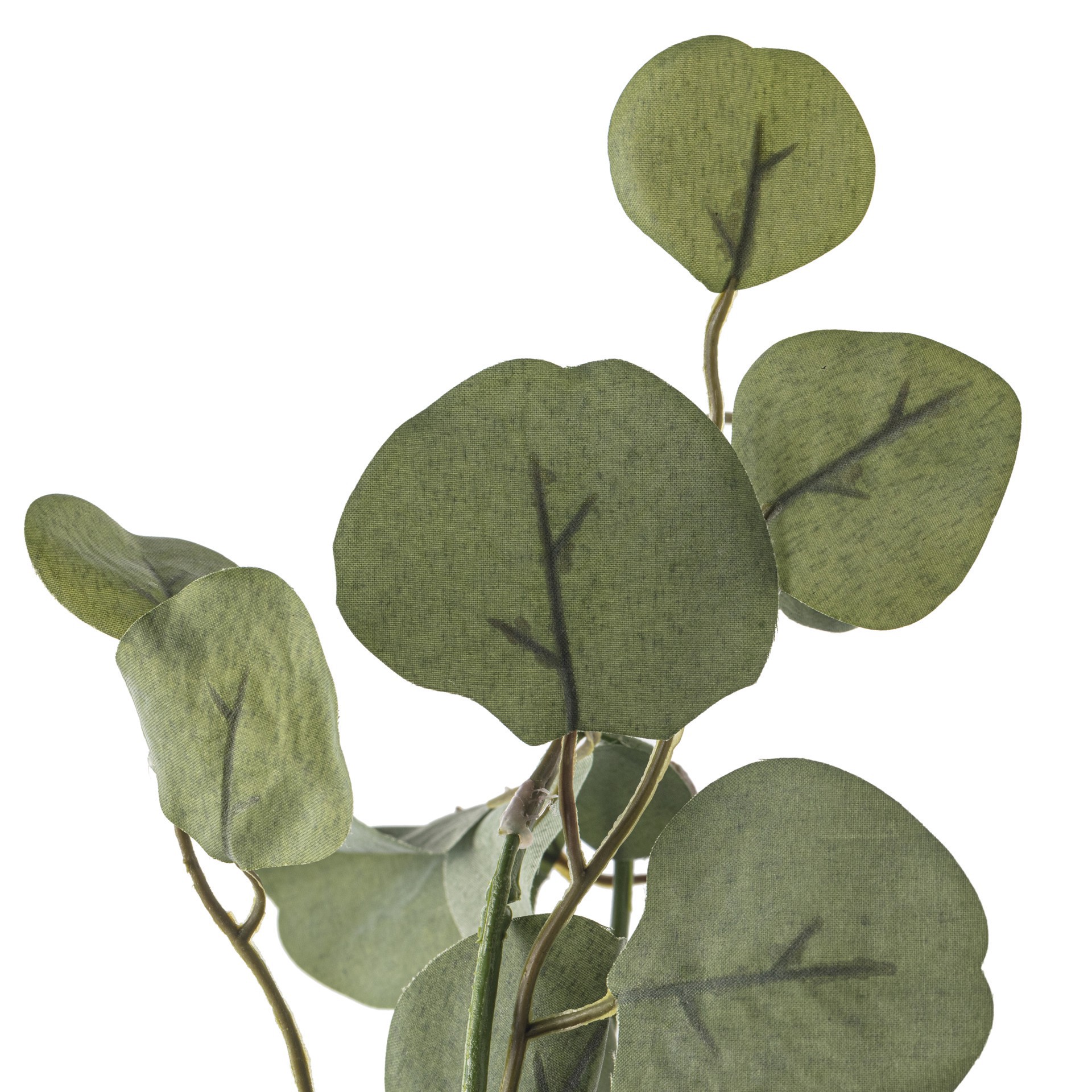 slide 3 of 4, 6ft. Eucalyptus Garland By Ashland, 6 ft