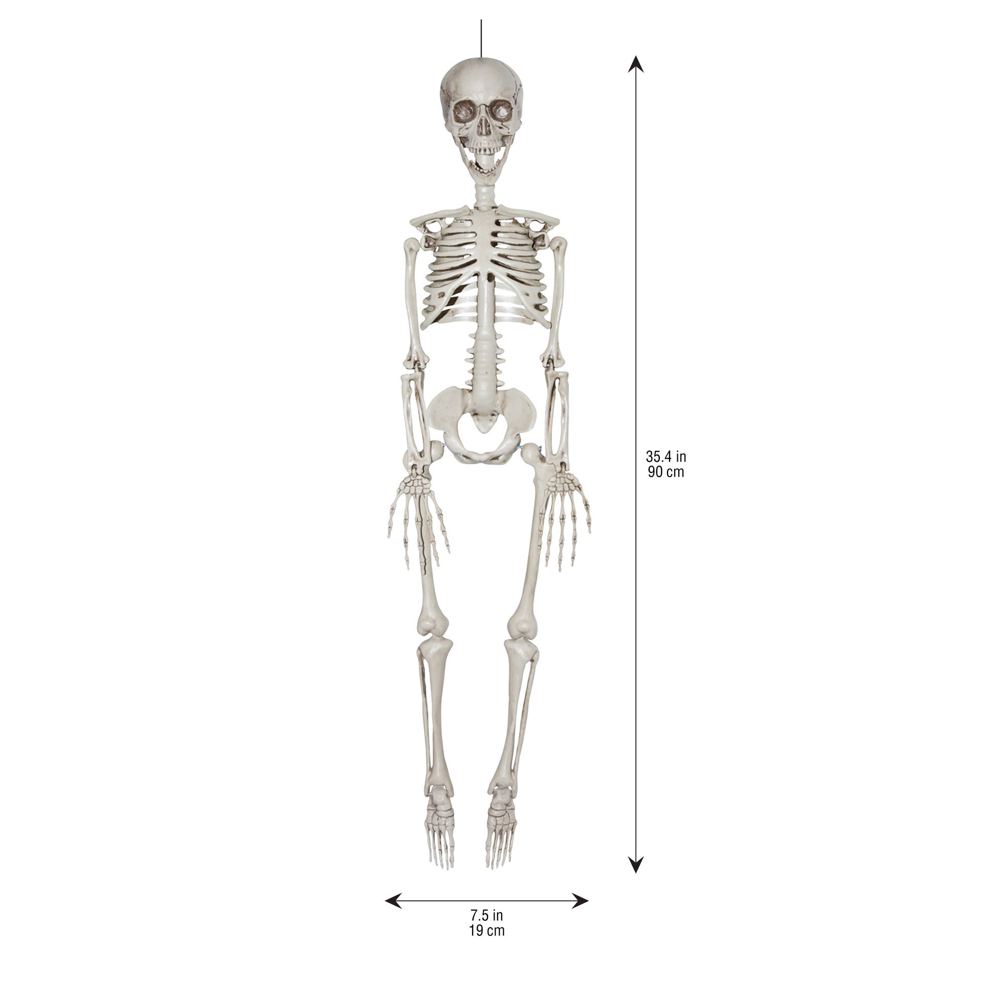 slide 3 of 3, 35" Hanging Skeleton By Ashland, 35 in
