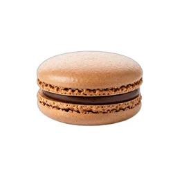 Duverger French Macarons