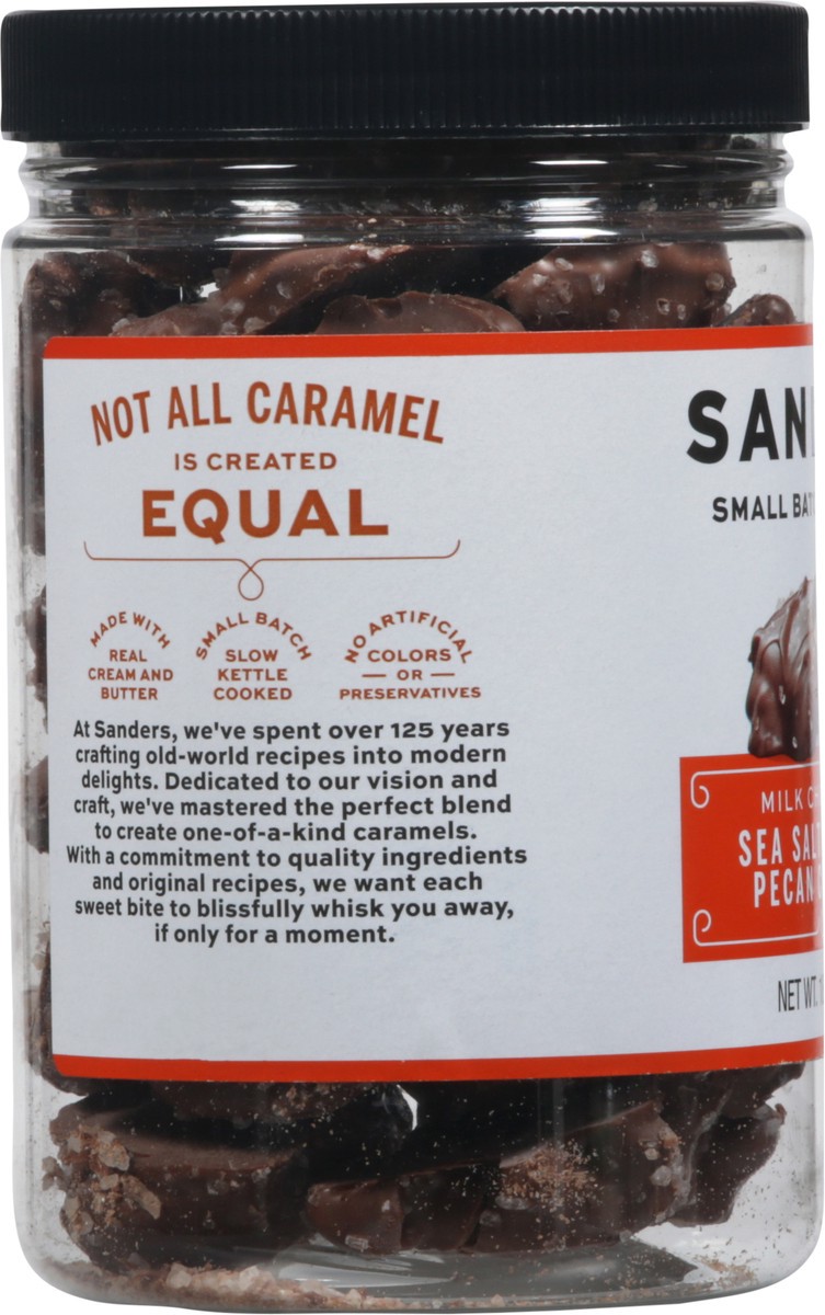 slide 8 of 9, Sanders Milk Chocolate Sea Salt Caramel Pecan Clusters 18 oz, 18 oz