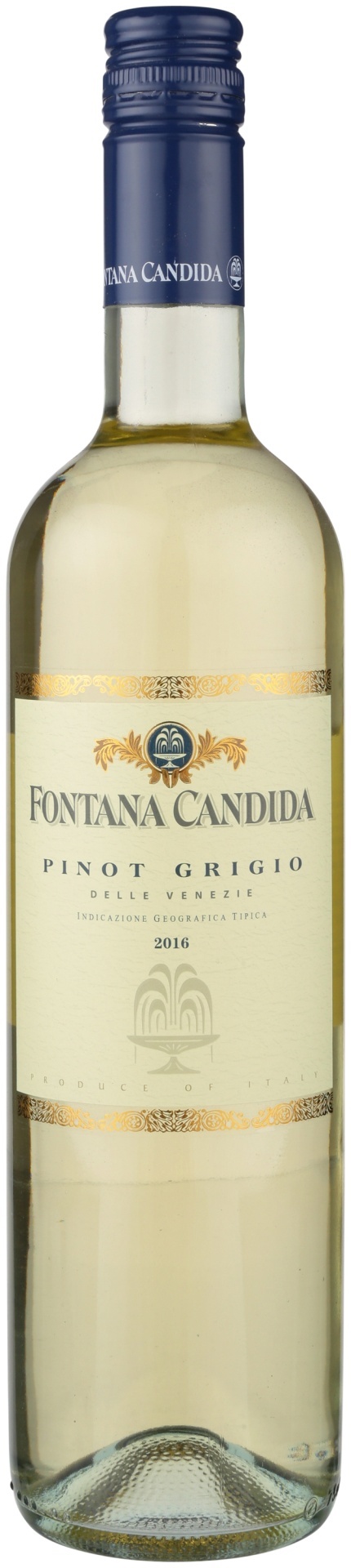 slide 1 of 1, Fontana Candida Pinot Grigio, 750 ml