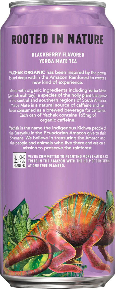 slide 3 of 4, Yachak Organic Yerba Mate Energy Drink Plant Based Energy Tea Blackberry 16 Fl Oz Can, 16 oz