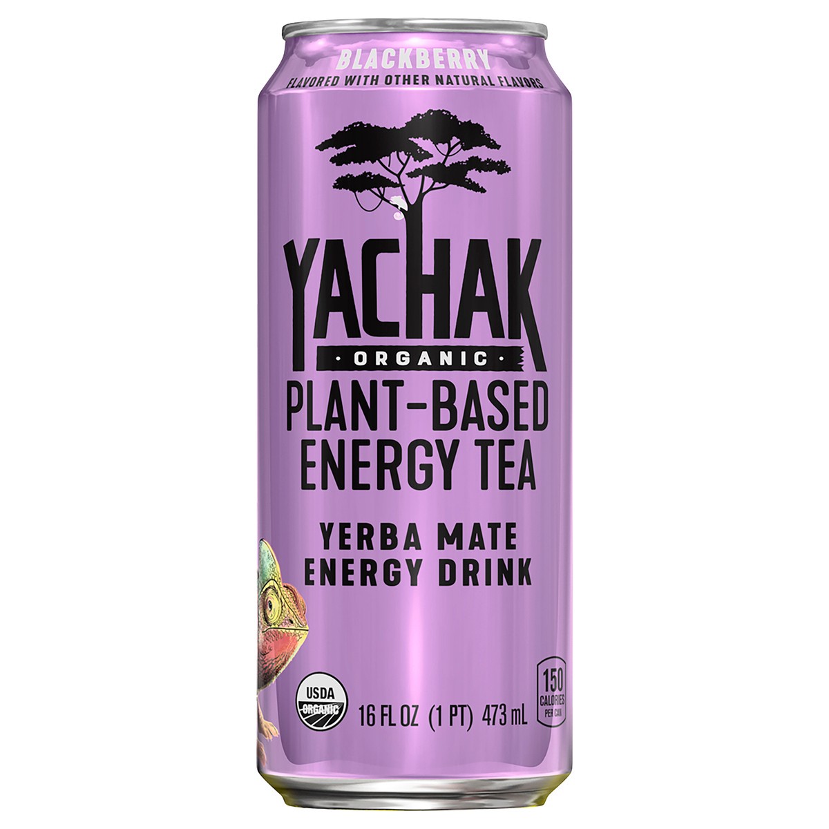 slide 1 of 4, Yachak Organic Yerba Mate Energy Drink Plant Based Energy Tea Blackberry 16 Fl Oz Can, 16 oz