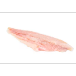 Catfish Fillet
