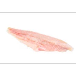 Catfish Fillet