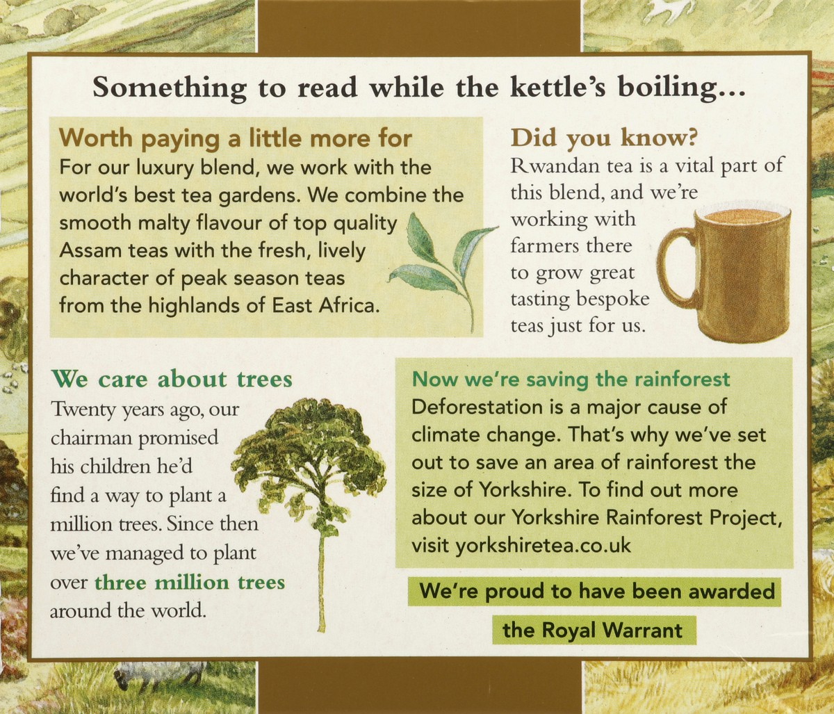 slide 2 of 5, Taylors of Harrogate Black Tea 80 ea, 80 ct; 8.82 oz