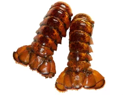 Cola De Langosta